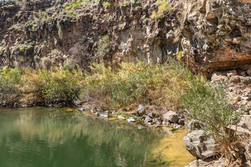 Naklejka na ściany i meble A small lake with fish framed by rocks with overgrown bushes and trees on the banks in Yehudia National Natural Park in northern Israel