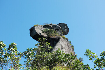 Pico do Papagaio, located on Ilha Grande in the state of Rio de Janeiro.