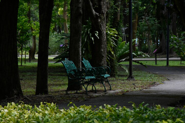 bench in the park