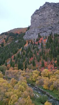 Vertical view over Provo River with colorful trees in the Canyon during Fall in Utah.