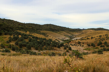 Fototapeta premium Picturesque image of the burnt grass around Horton Plains, Sri Lanka.