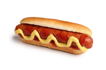 Tasty hot dog on white background