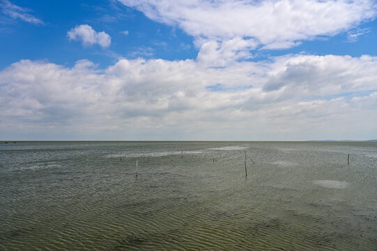 View of the Razim Lake Lagoon, Lacul Razim on the Black Sea, Danube Delta, Sarichioi, Wallachia in Romania