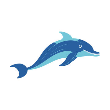 Dolphin isolated vector illustration. Clipart of undersea adorable and cute creature in movement
, swimming and posing