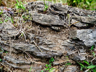 Yellow brown rock as foreground object in shallow depth of field focus with tropical rain forest jungle full of trees and leaves as blurred bokeh background. Stone with moss and blurred dry leaves.