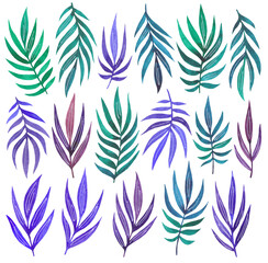 Handpainted watercolor leaves collection. Set of hand drawn leaves and plants. Watercolor illustration isolated on white background. Green, blue and violet leaves for cards, patterns, invitations.