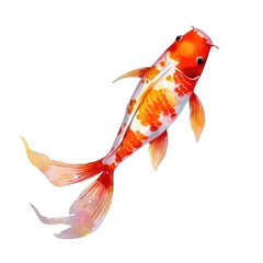 Koi fish isolated on transparent background,transparency 