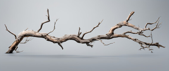 Dead Tree Branches With cracked bark - obrazy, fototapety, plakaty