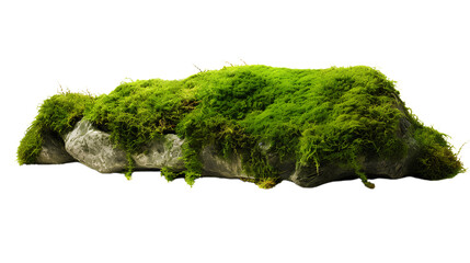 Green Moss Meadow on a rock. Side view. Isolated on Transparent background. - obrazy, fototapety, plakaty