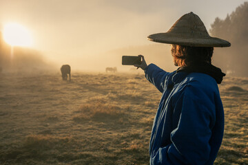 Woman in nature taking pictures at dawn with fog and horses, phone call.