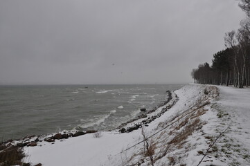 winter sea