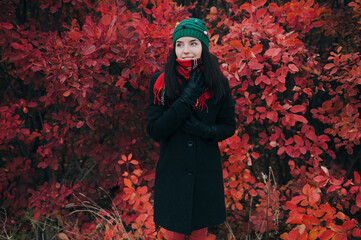 A young beauty girl in a knitted green hat, a dark woolen coat, gloves and a scarf stands on the background of autumn bushes with red leaves. The concept of walking in nature. Close up.