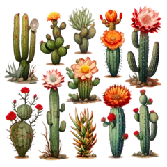 Raamstickers Cactus Wild Cactus Varieties Isolated on Transparent or White Background, PNG