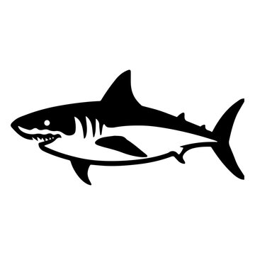 Graphical hand-drawn  sharks isolated on white background, vector illustration