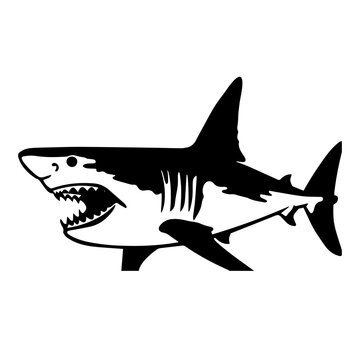 Graphical hand-drawn  sharks isolated on white background, vector illustration