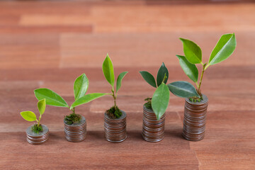Fototapeta na wymiar Organic money growth investment concept shown by stacking piles of coin with sprout or baby plant on top. Financial investments rooted and cultivating wealth in harmony with nature. Quaint