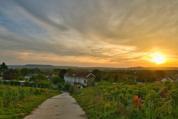 Herbstmorgen in Ay in der champagne