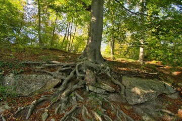 Etangs de Commelles im Oise in Frankreich