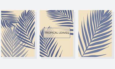 Tropical cover design set. Floral beauty background with exotic leaf. Elegant vector template for wedding invite, brochure layout, spa leaflet, cosmetics backdrop.