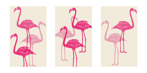 Pink Flamingo set of vector illustrations. Exotic bird in different poses. Retro posters
