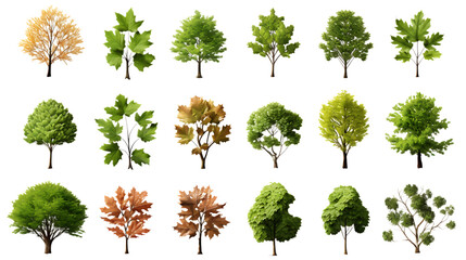 Overhead Tree Collection Isolated on Transparent or White Background, PNG - Powered by Adobe