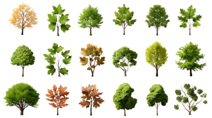 Overhead Tree Collection Isolated on Transparent or White Background, PNG