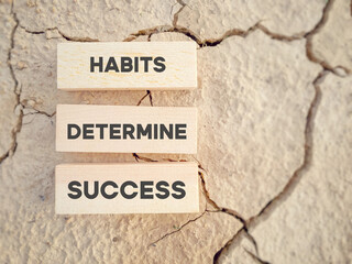 Inspirational motivational quote concept - habits determine success on wooden blocks background.