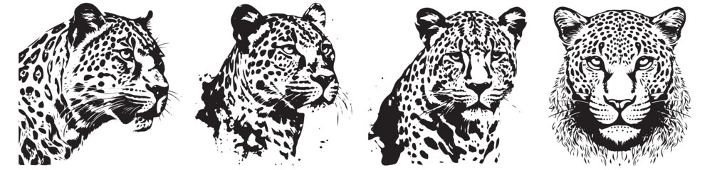 Cheetah,  black and white vector, silhouette shapes illustration