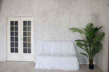 sofa and green tree in white room interior