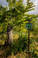Wandern in der Oberlausitz