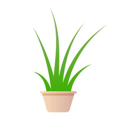 Vector aloe indoor plant icon flat illustration of aloe indoor plant vector icon for web design