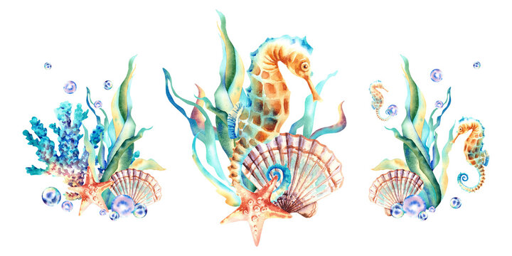 A set of underwater compositions. Algae, seahorse, corals, starfish, shells, pearls and bubbles. Watercolor illustration on an isolated background. Aquarium.