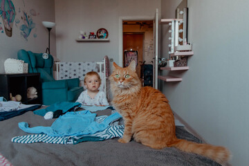 Portrait of a baby boy and ginger cat in bright room