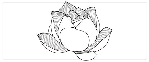 Black outline of a large lotus flower on a white background. Hand drawn floral pattern. An object for coloring, creating various designs and patterns. 