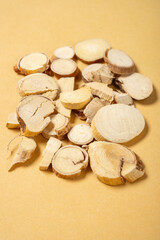 angle view herb WuZhiMaoTao or Fici Hirtae Radix or extract of ficus hispida vertical composition