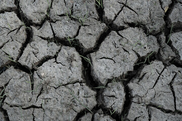 cracked and dried mud as background and texture