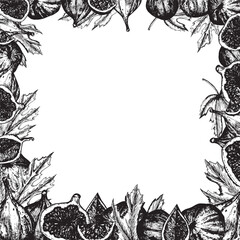 Obraz premium Hand-drawn black and white ink illustration. Square frame with fresh figs, leaves and slices. Vector