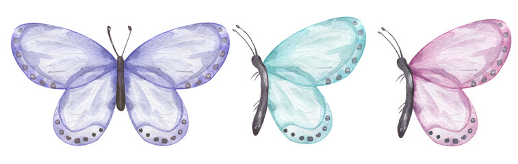 Watercolor hand drawn color buttrefly illustration set, moth clipart, insect clip art