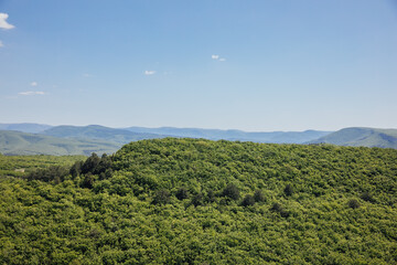 Obraz premium beautiful scenic nature dense forest on the mountains sky travel hiking