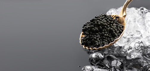 Black Caviar in golden spoon on ice. High quality natural sturgeon black caviar close-up....