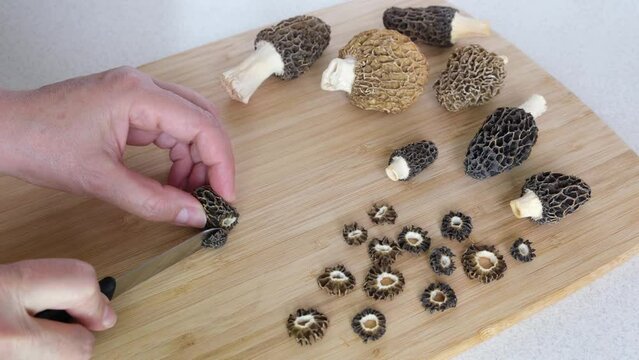 A man slicing spring mushrooms in the kitchen. Whole and cut into pieces spring mushrooms Morels are on the table. The idea of cooking dishes from wild, or farm-grown Morel mushrooms. High quality 4k