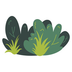 Bush Illustration