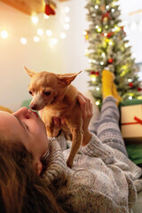 Love and affection for pets. Woman lying down on sofa and kissing her lap dog while Christmas time.
