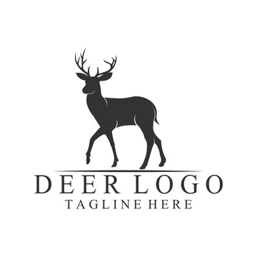 VECTOR IMAGE OF A DEER ANIMAL WITH A WHITE BACKGROUND.