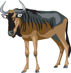 Blue wildebeest - vector illustration
