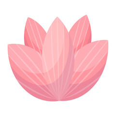 Vector pink lotus flower on white background