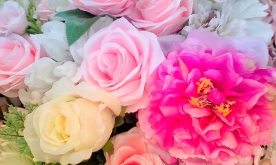 pink roses background