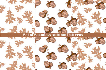 set of seamless autumn patterns with mushrooms, leaves. vector illustration, hand drawn autumn elements