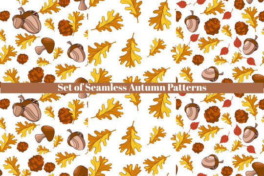 set of seamless autumn patterns with mushrooms, leaves. vector illustration, hand drawn autumn elements