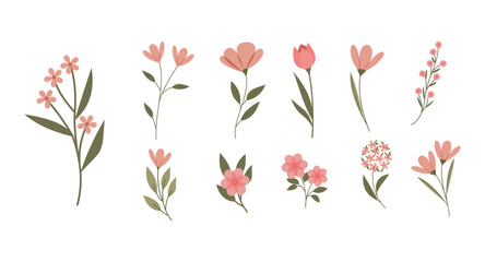 Flower Pink Illustration